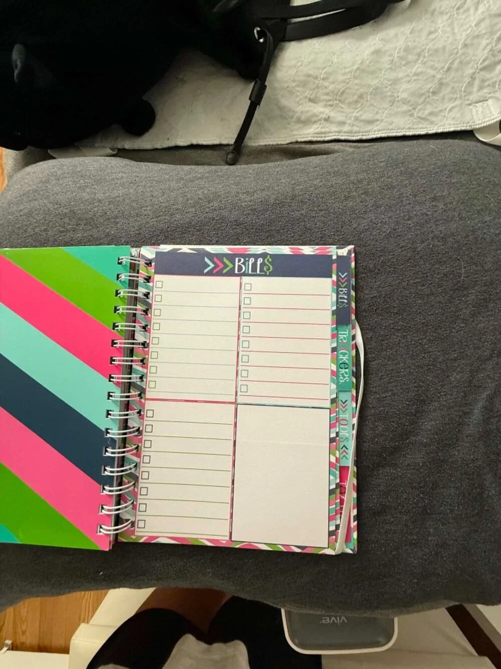 Denise Albright Budget Binder™ Undated 12-Month Budget Planner Workbook